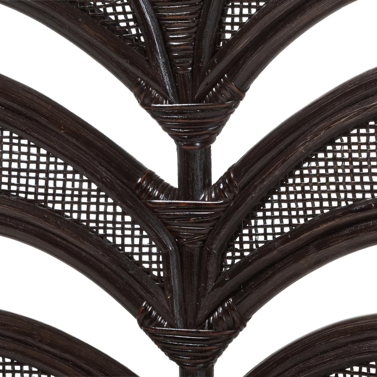 Modern European furniture - Banana Leaf Design Dining Chair - www.oroa.com | Oroa.com