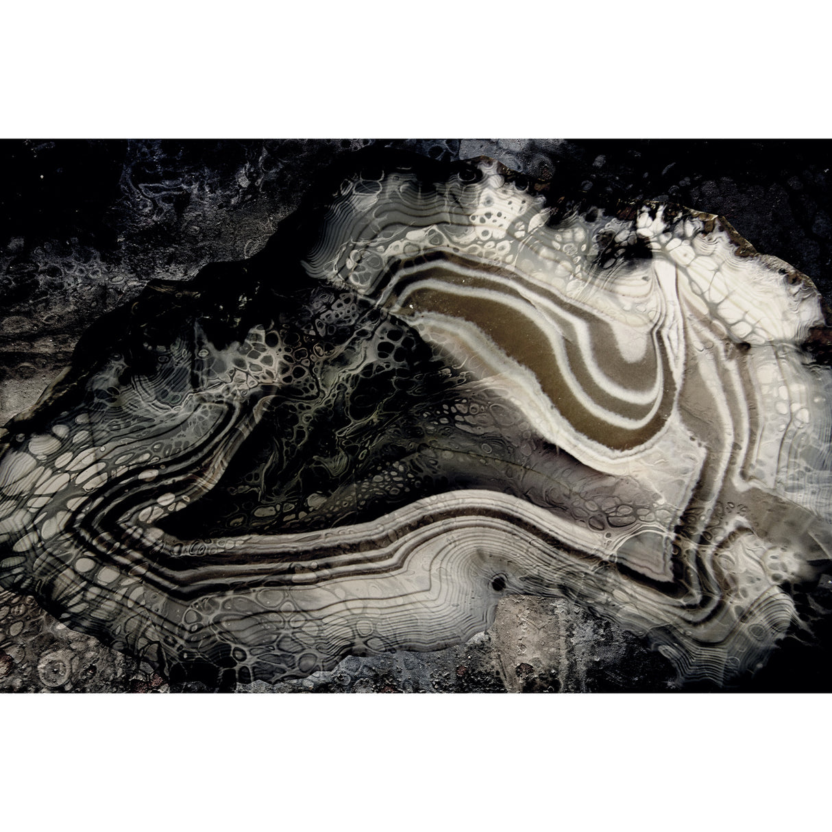 Black & White Swirl Photographic Art | Oroa.com
