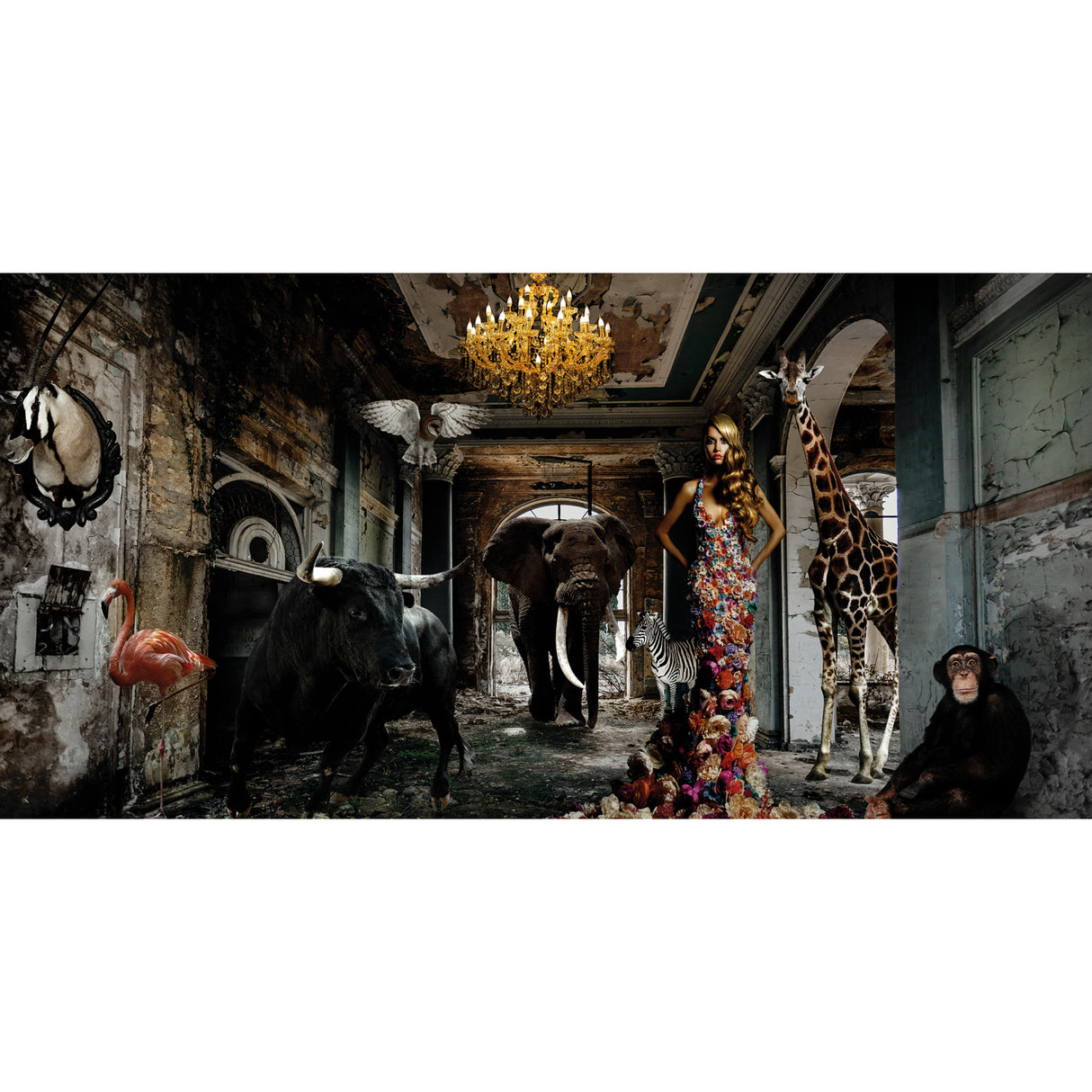 Beasts & Lady Photographic Art | Oroa.com