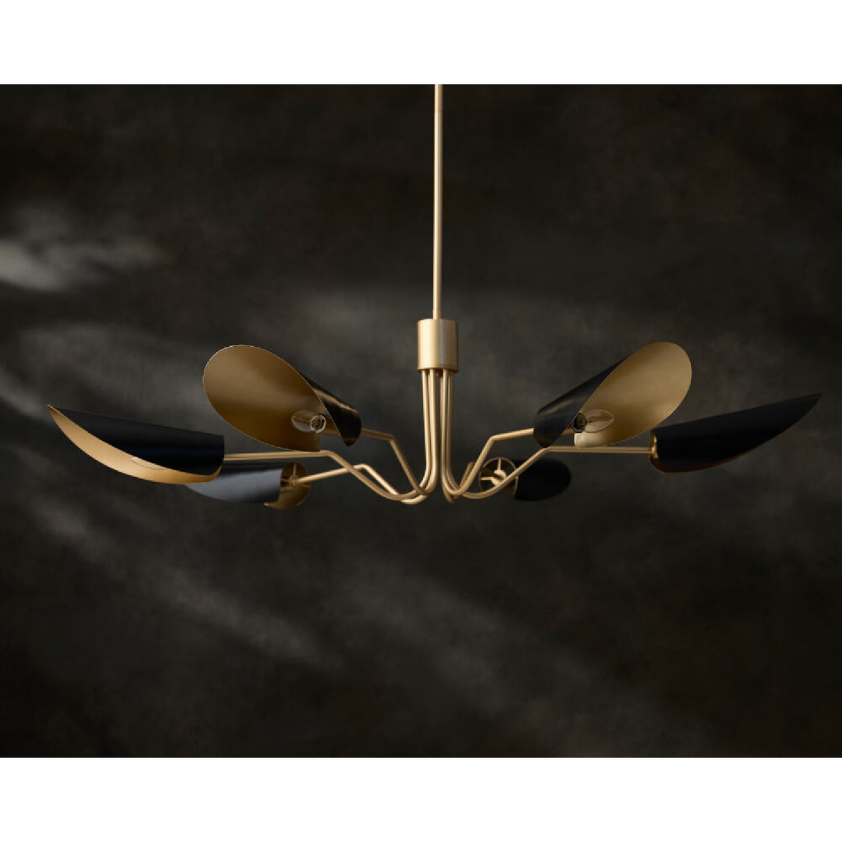 Modern European furniture - Black Metal Shades 6-Light Chandelier - www.oroa.com | Oroa.com
