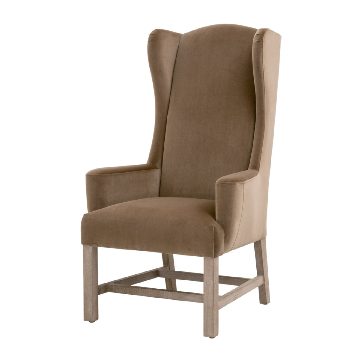 Modern European furniture - Brown Velvet High-Back Accent Chair - www.oroa.com | Oroa.com