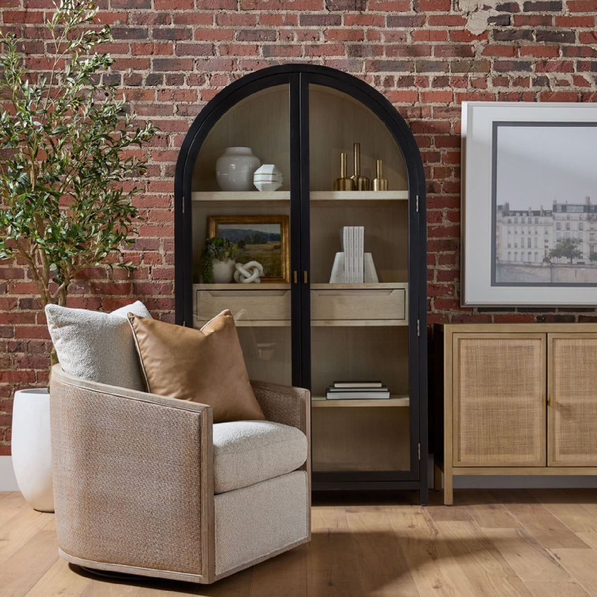 Black Birch Arched Display Cabinet | Oroa.com