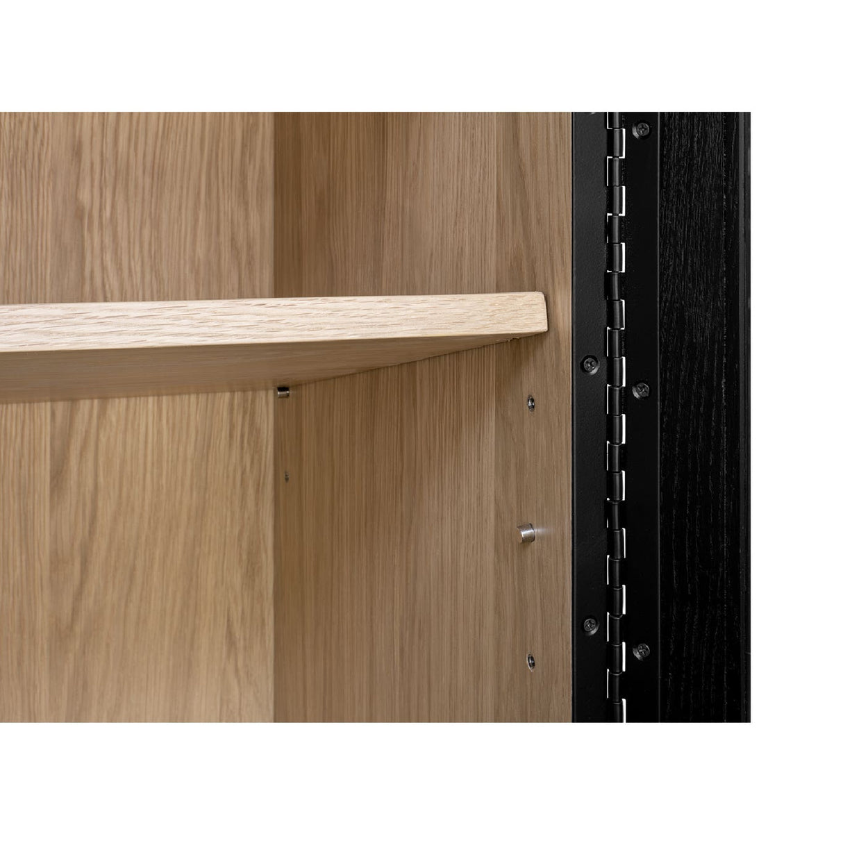 Modern European furniture - Black Solid Ash Tall Cabinet - www.oroa.com | Oroa.com