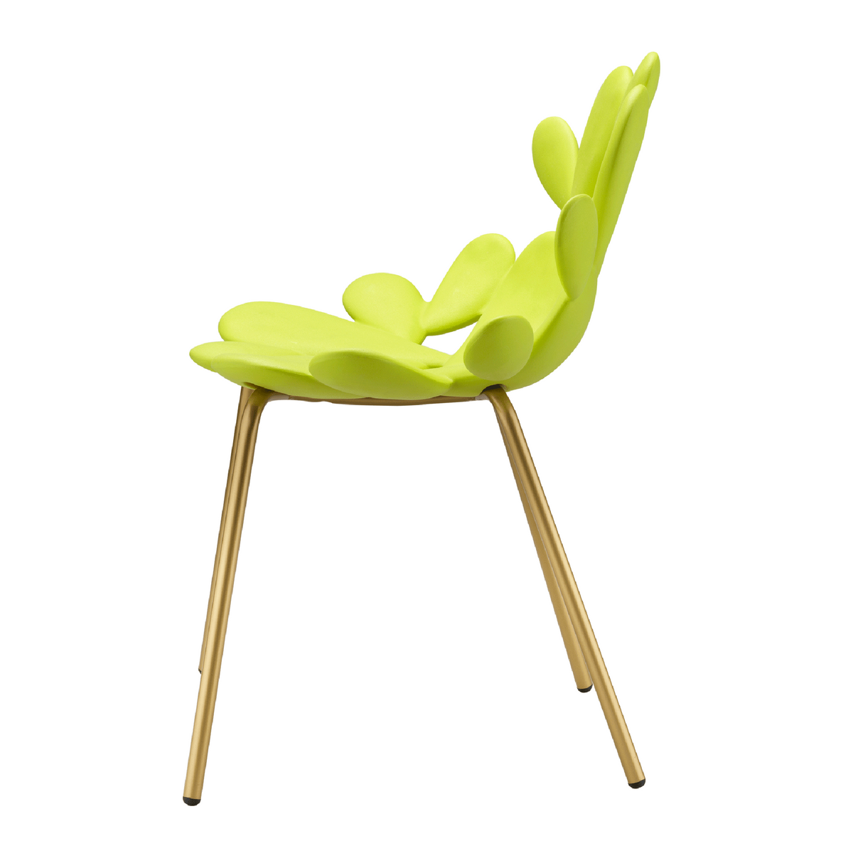 Cactus Design Indoor/Outdoor Dining Chair Set (2) | Oroa.com