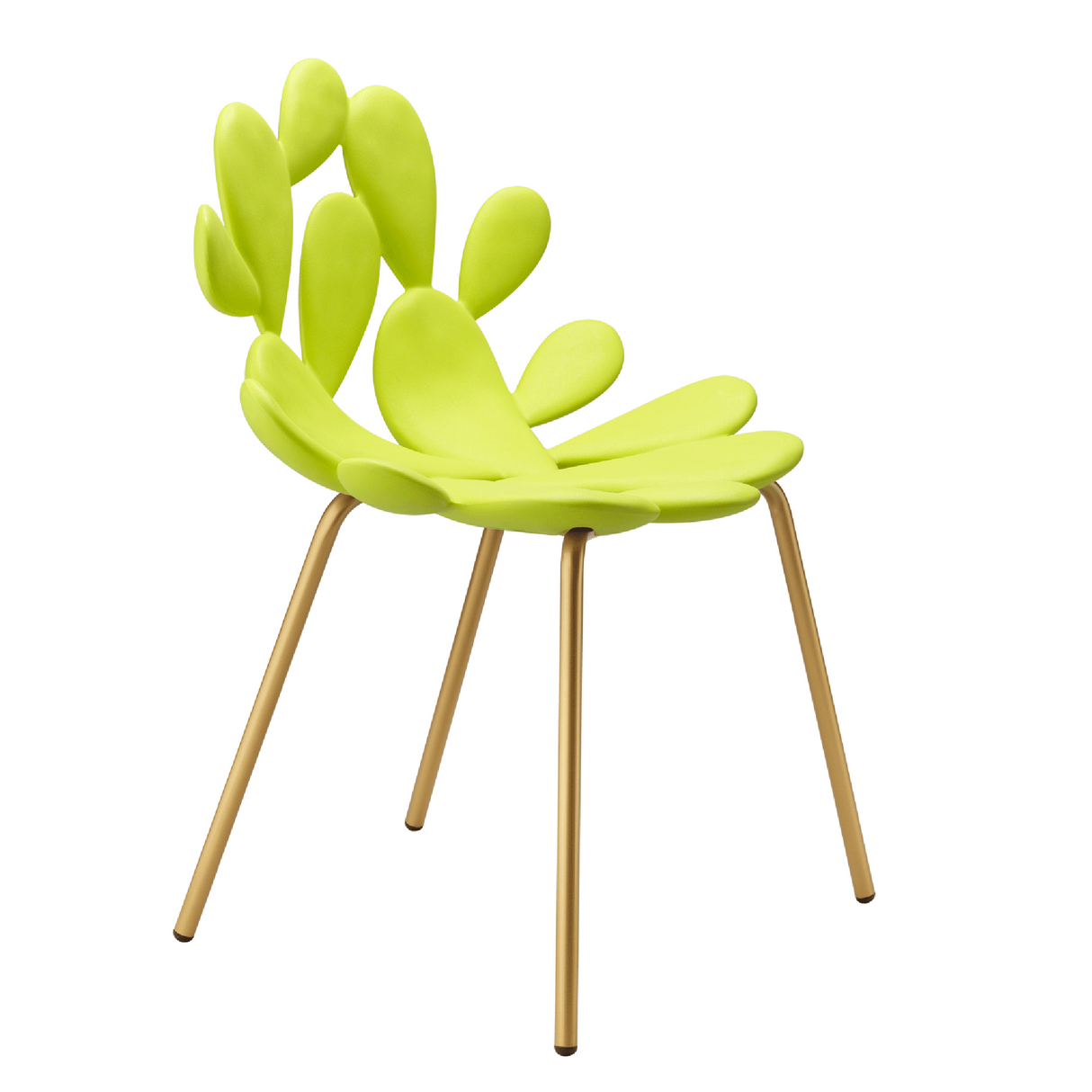 Cactus Design Indoor/Outdoor Dining Chair Set (2) | Oroa.com
