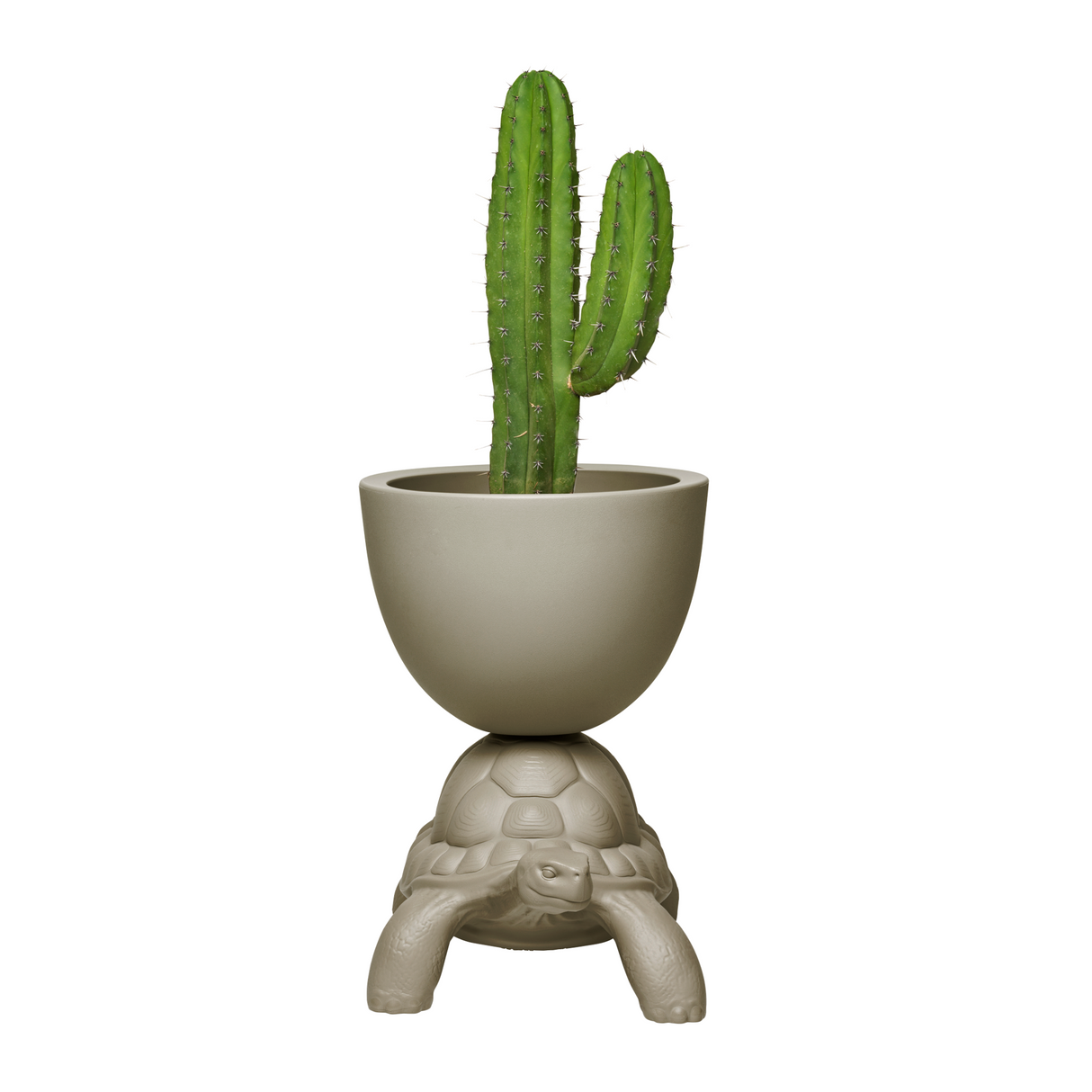 Modern Decorative Planter | Oroa.com