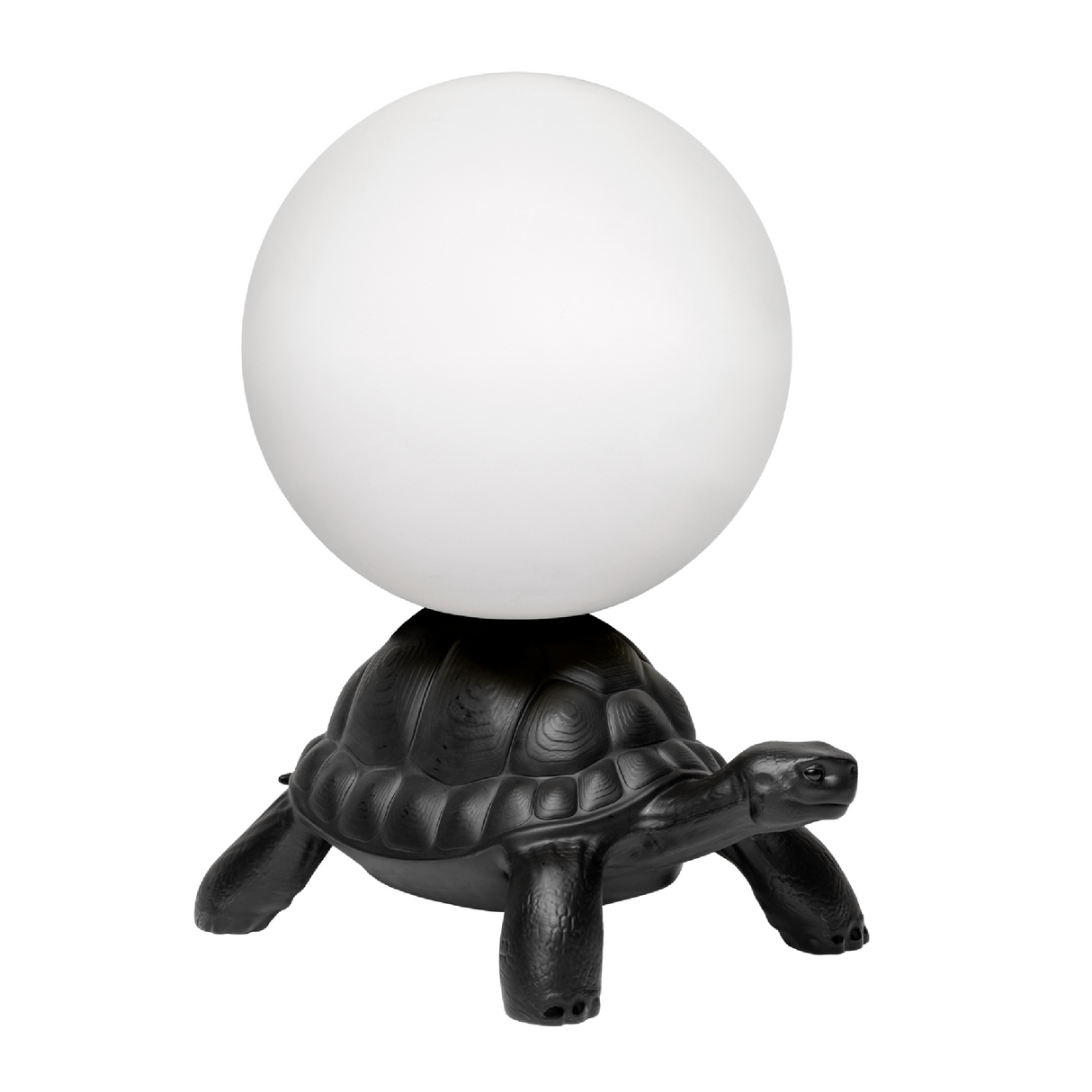 Modern Decorative Lamp | Oroa.com