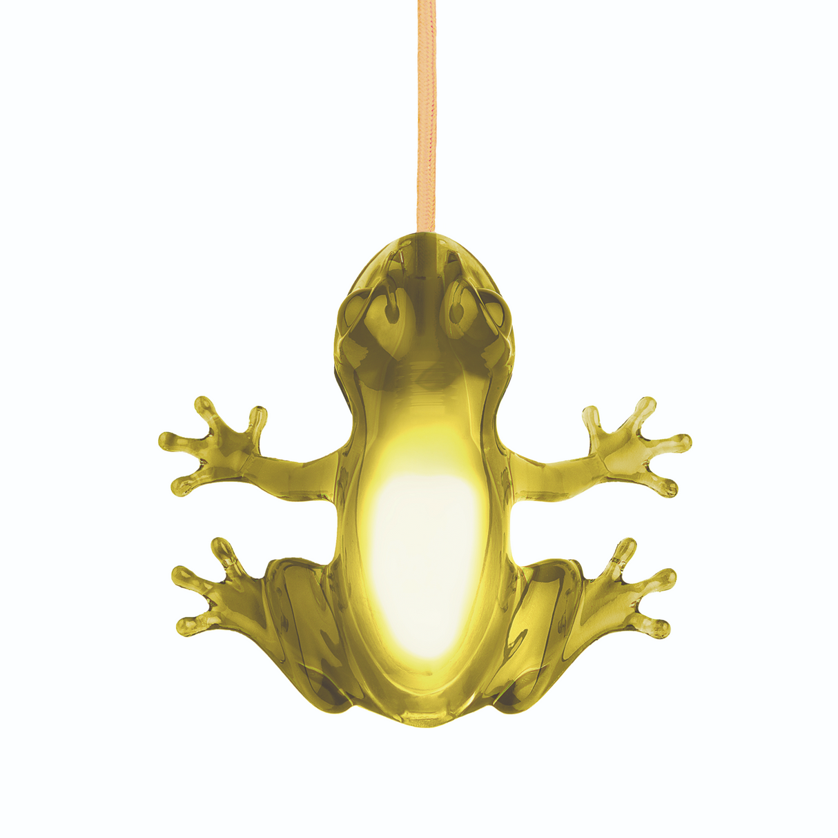 Sculptured Table/Wall Lamp | Oroa.com