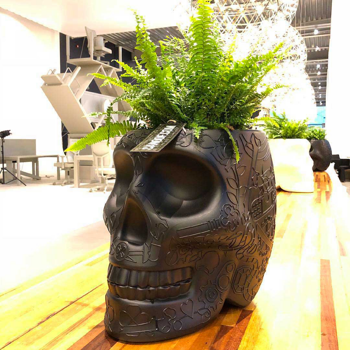 Skull-Shaped Planter Champagne Cooler | Oroa.com