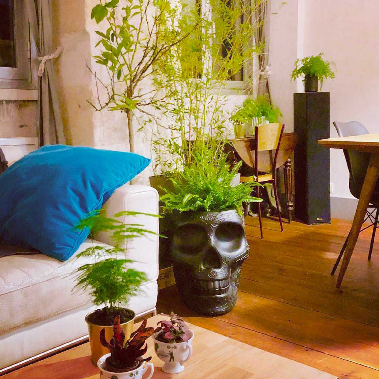 Skull-Shaped Planter Champagne Cooler | Oroa.com