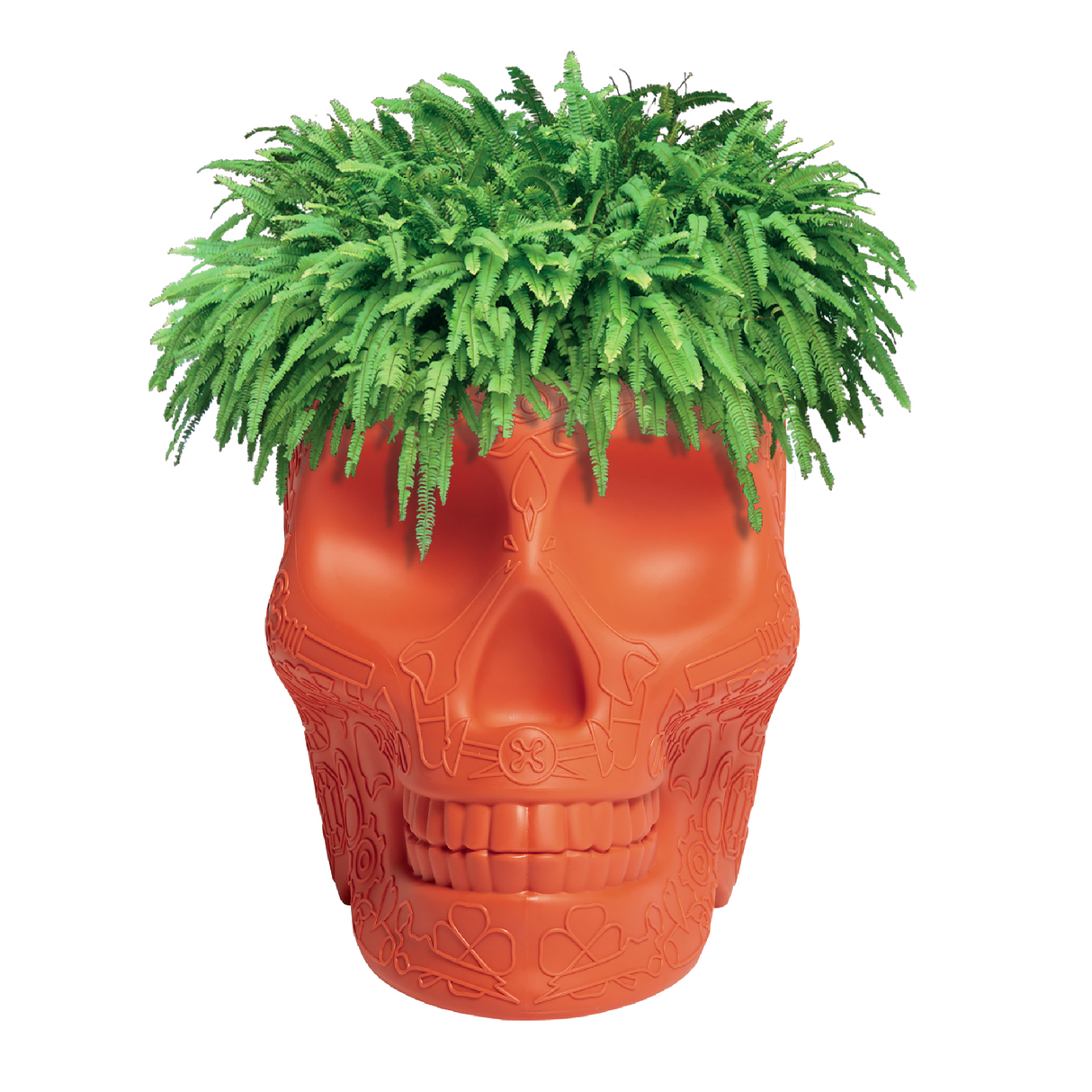Skull-Shaped Planter Champagne Cooler | Oroa.com