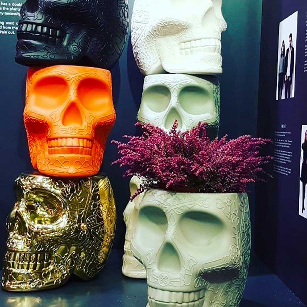 Skull-Shaped Planter Champagne Cooler | Oroa.com