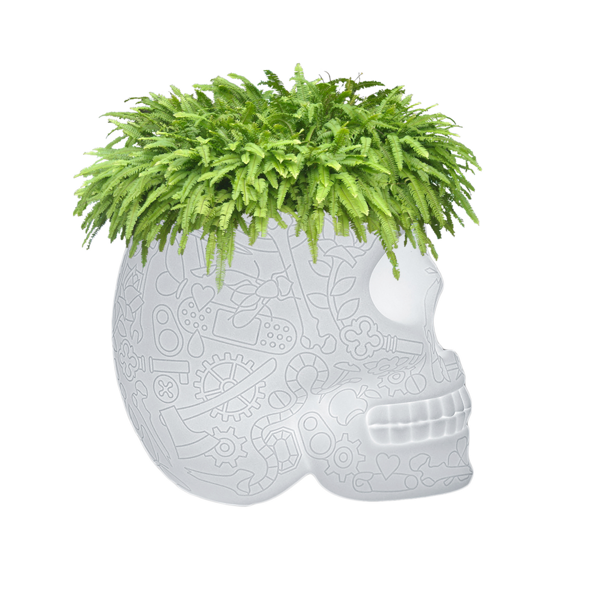 LED Planter & Champagne Cooler Lamp | Oroa.com