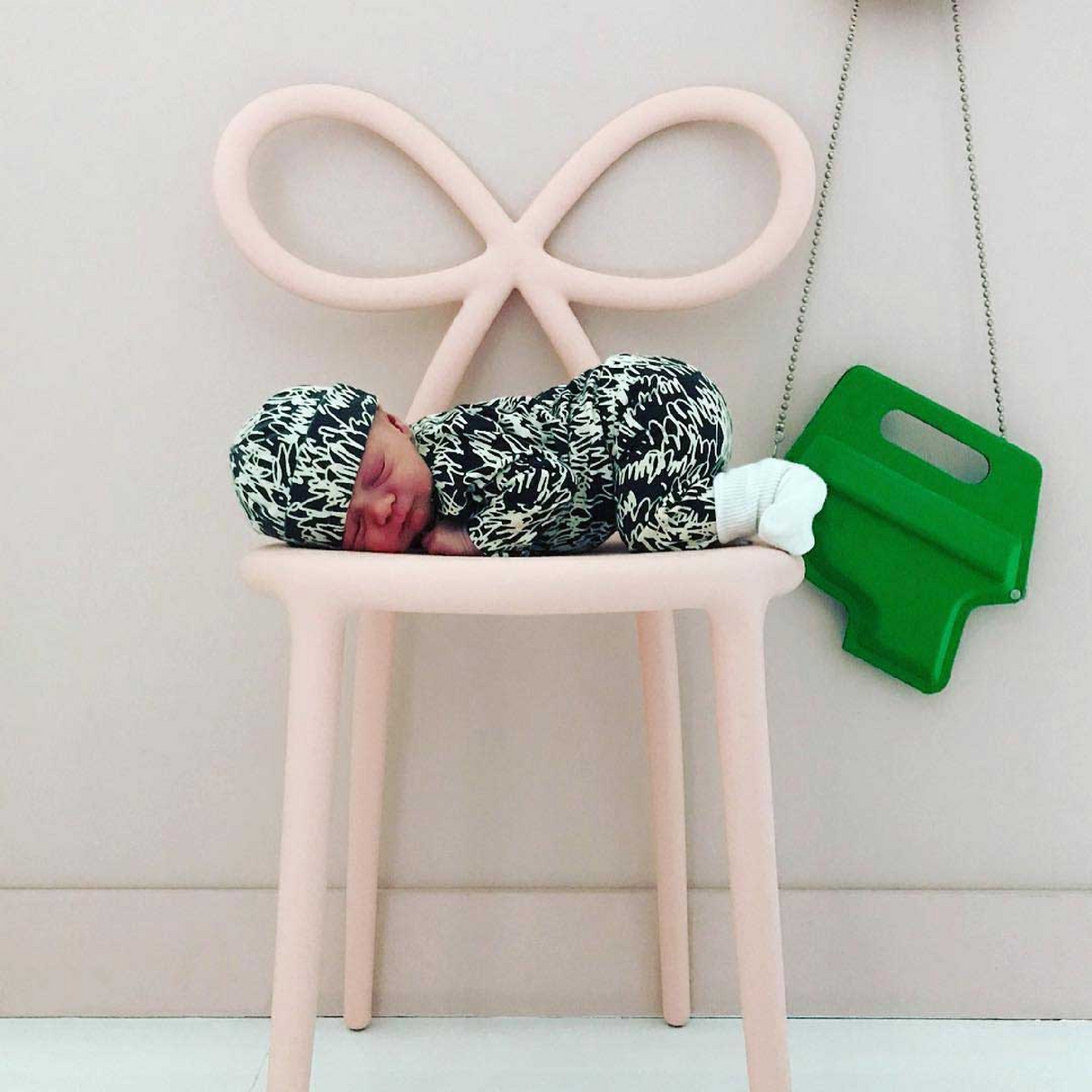 Modern Chic Dining Chair Set (2) | Oroa.com