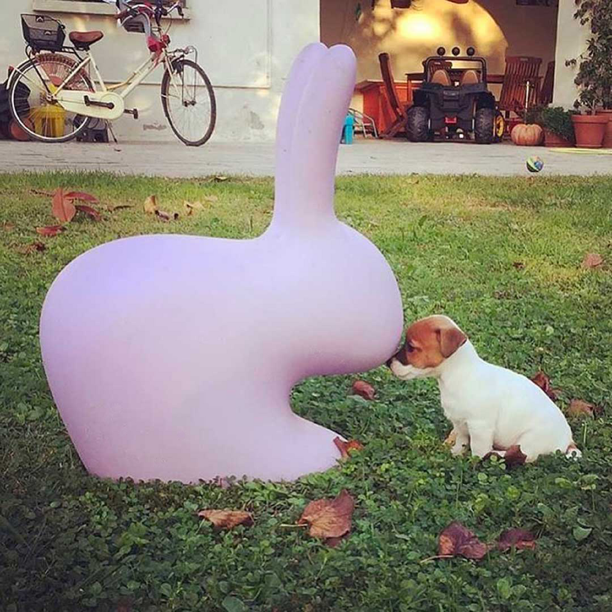 Molded Bunny Chair | Oroa.com