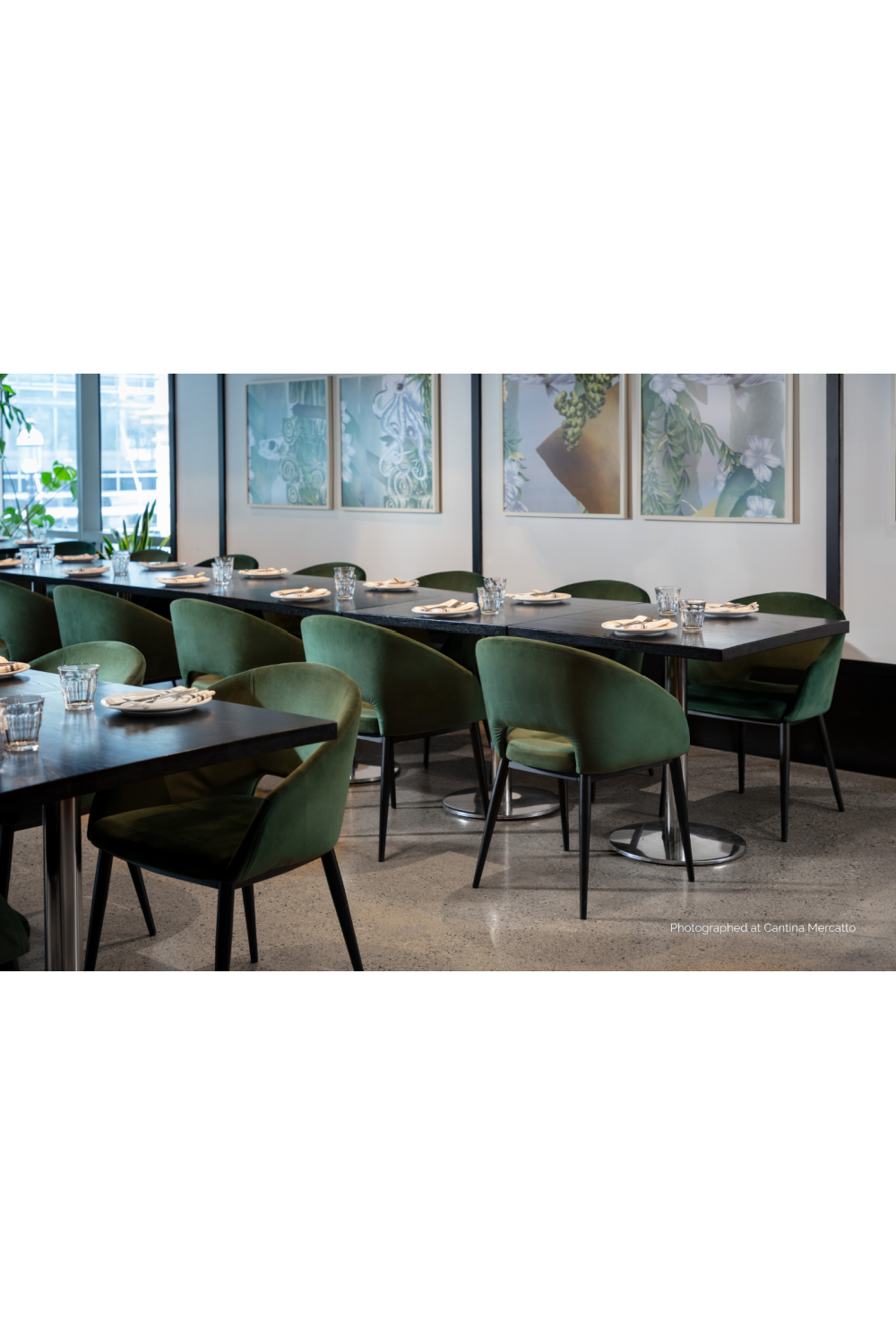 Modern European furniture - Cutout-Back Dining Amchair - www.oroa.com | Oroa.com