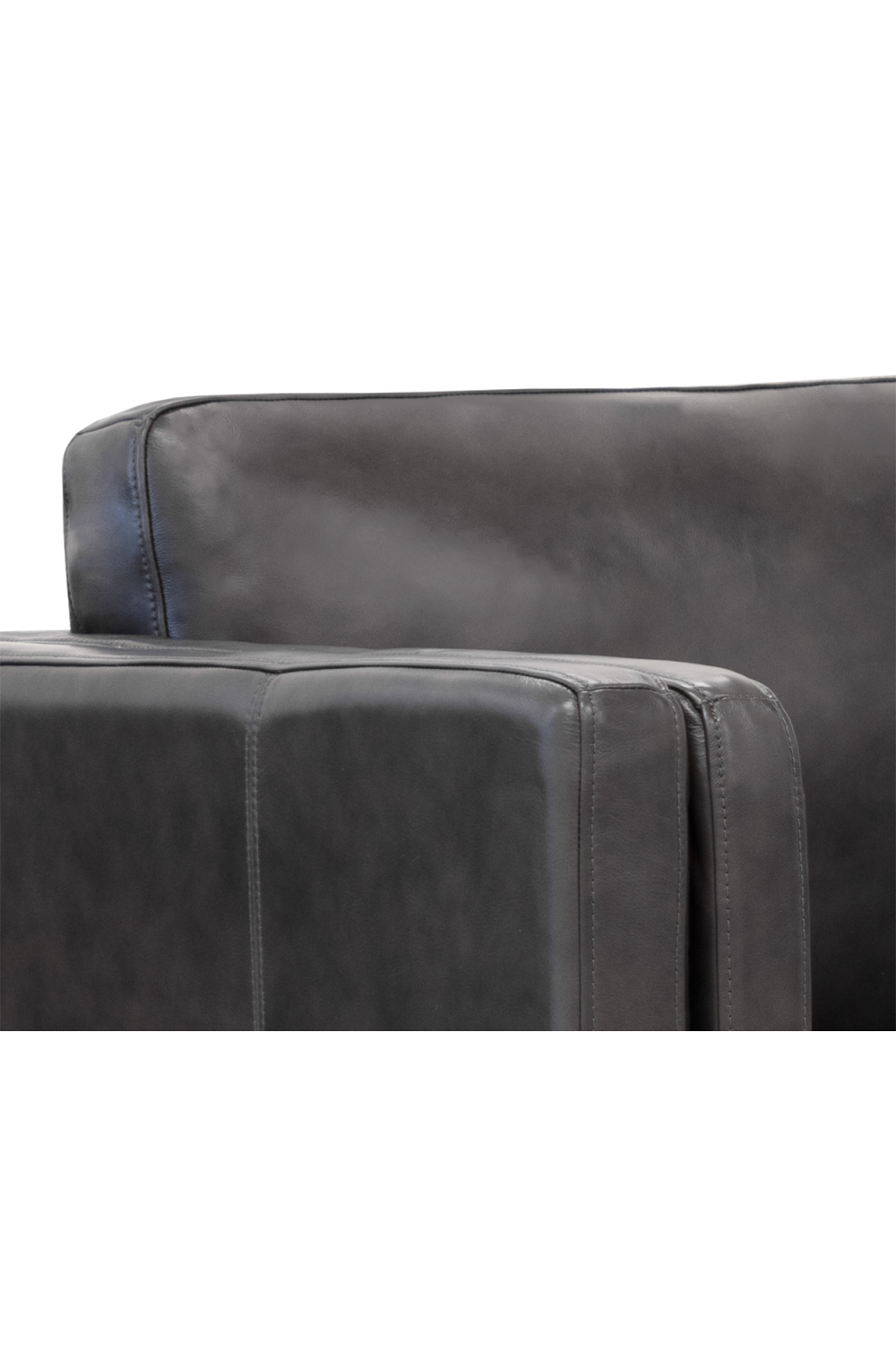 Modern European furniture - Black Leather Sofa - www.oroa.com | Oroa.com