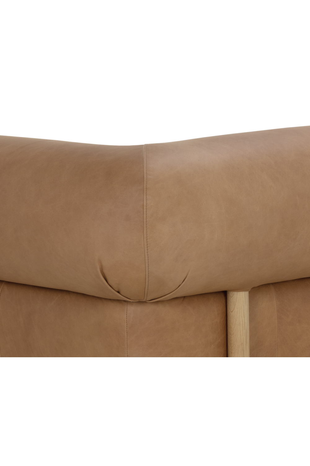 Modern European furniture - Brown Leather Sofa - www.oroa.com | Oroa.com