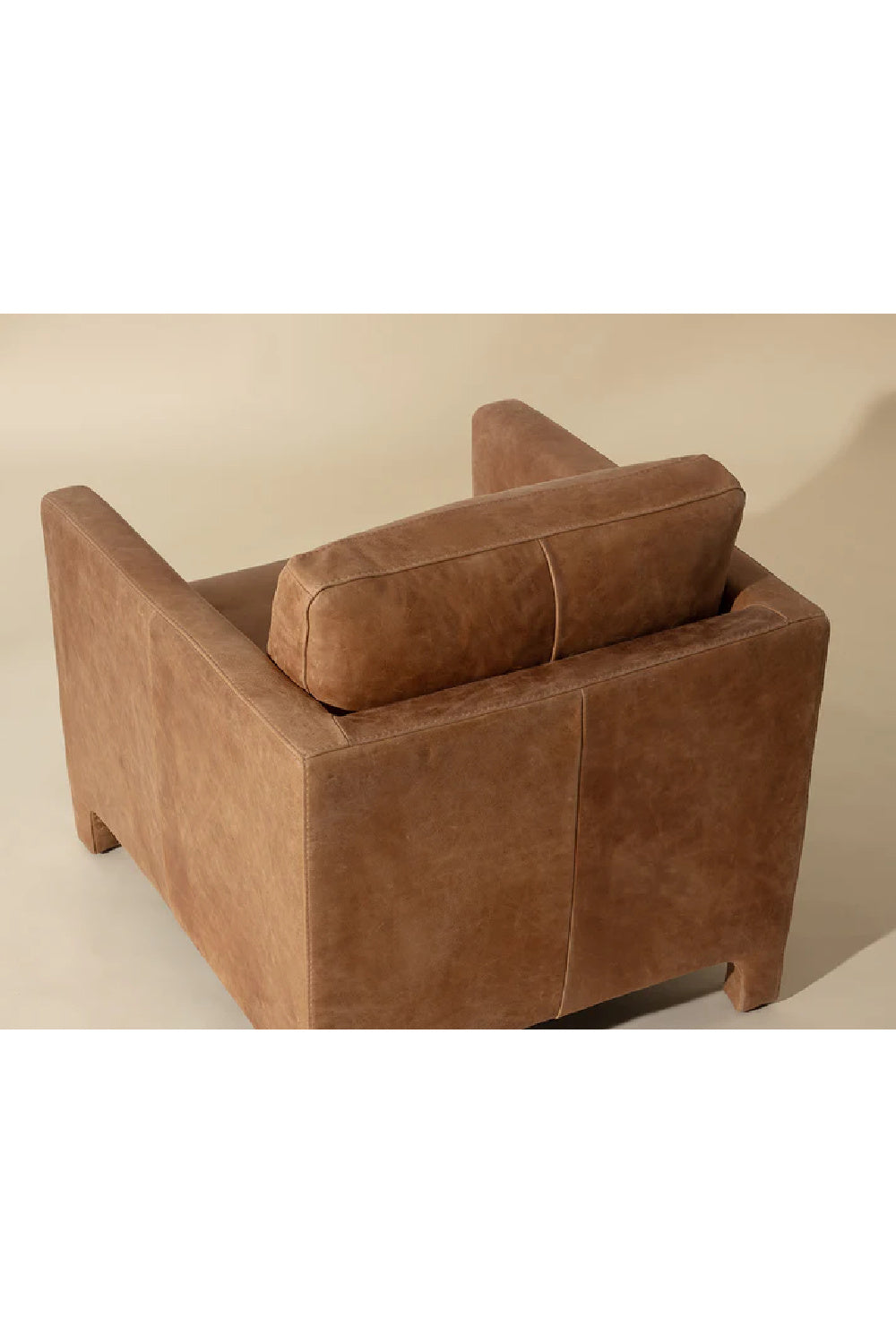 Modern European furniture - Bovine Leather Lounge Chair - www.oroa.com | Oroa.com