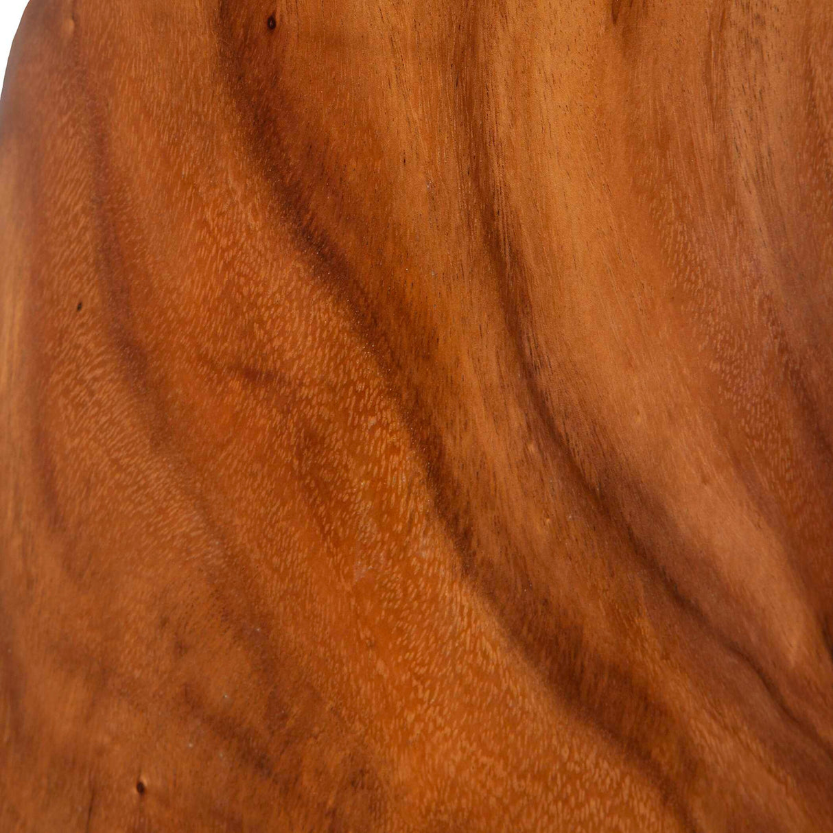 Solid Suar Wood Accent Table | Oroa.com
