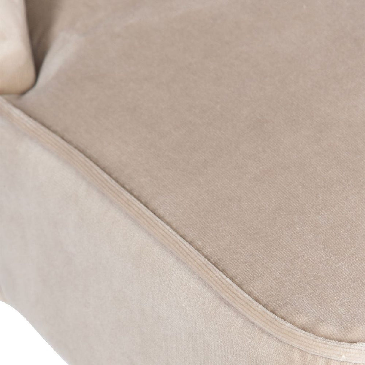 Modern European furniture - Welted Trim Modern Dining Chairs (2) - www.oroa.com | Oroa.com