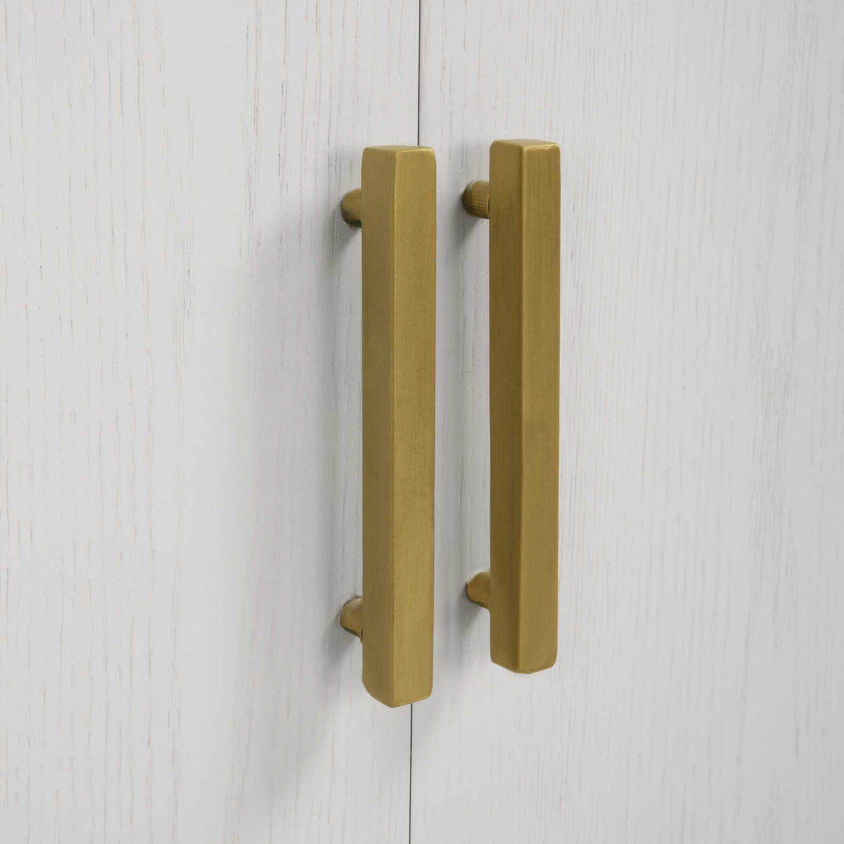 2-Door Oak Veneer Cabinet | Oroa.com