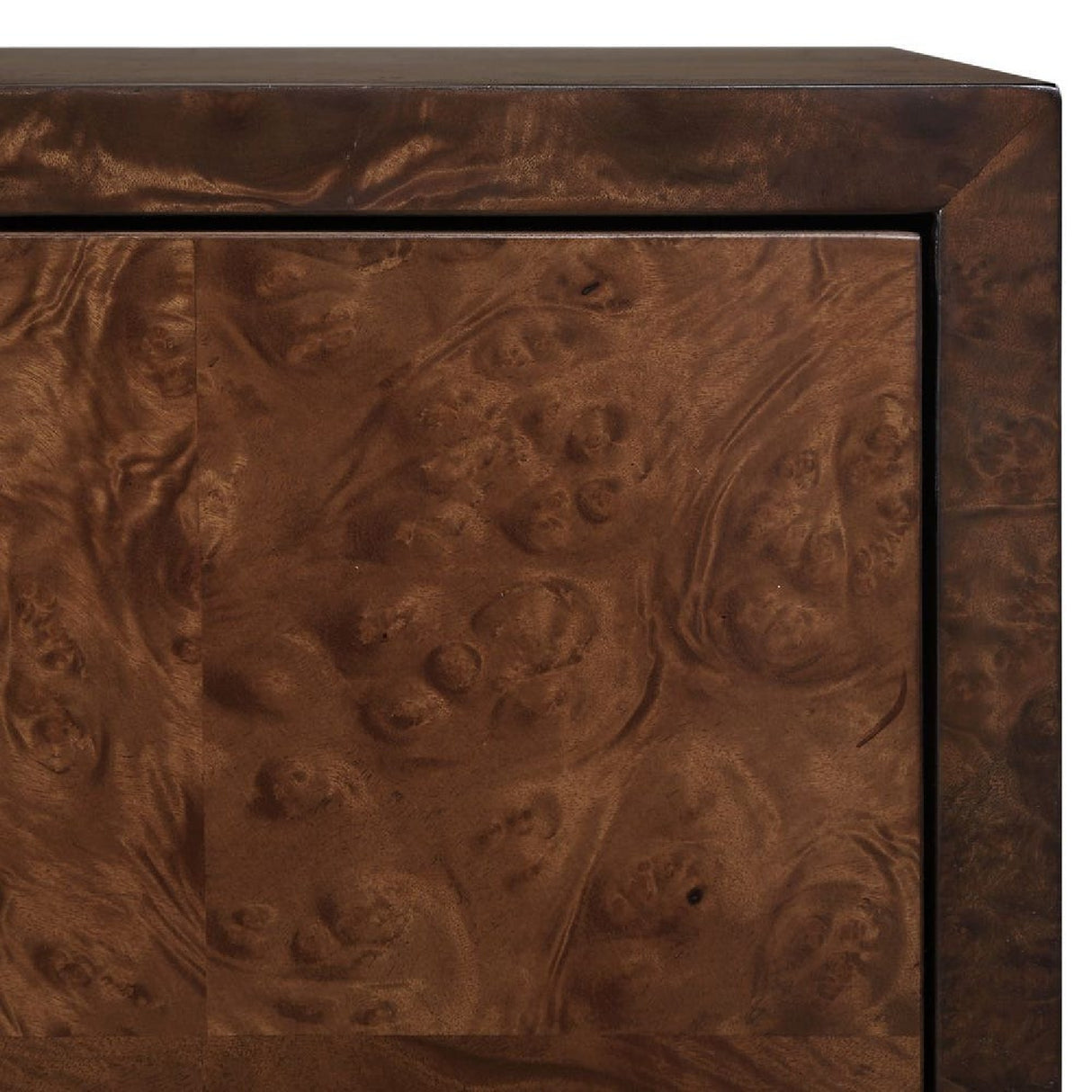 Modern European furniture - Burl Wood 2-Door Cabinet - www.oroa.com | Oroa.com