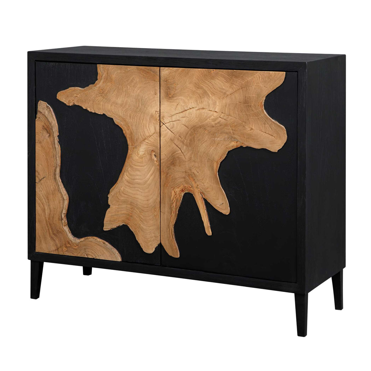 Modern European furniture - Black Wooden 2-Door Cabinet - www.oroa.com | Oroa.com