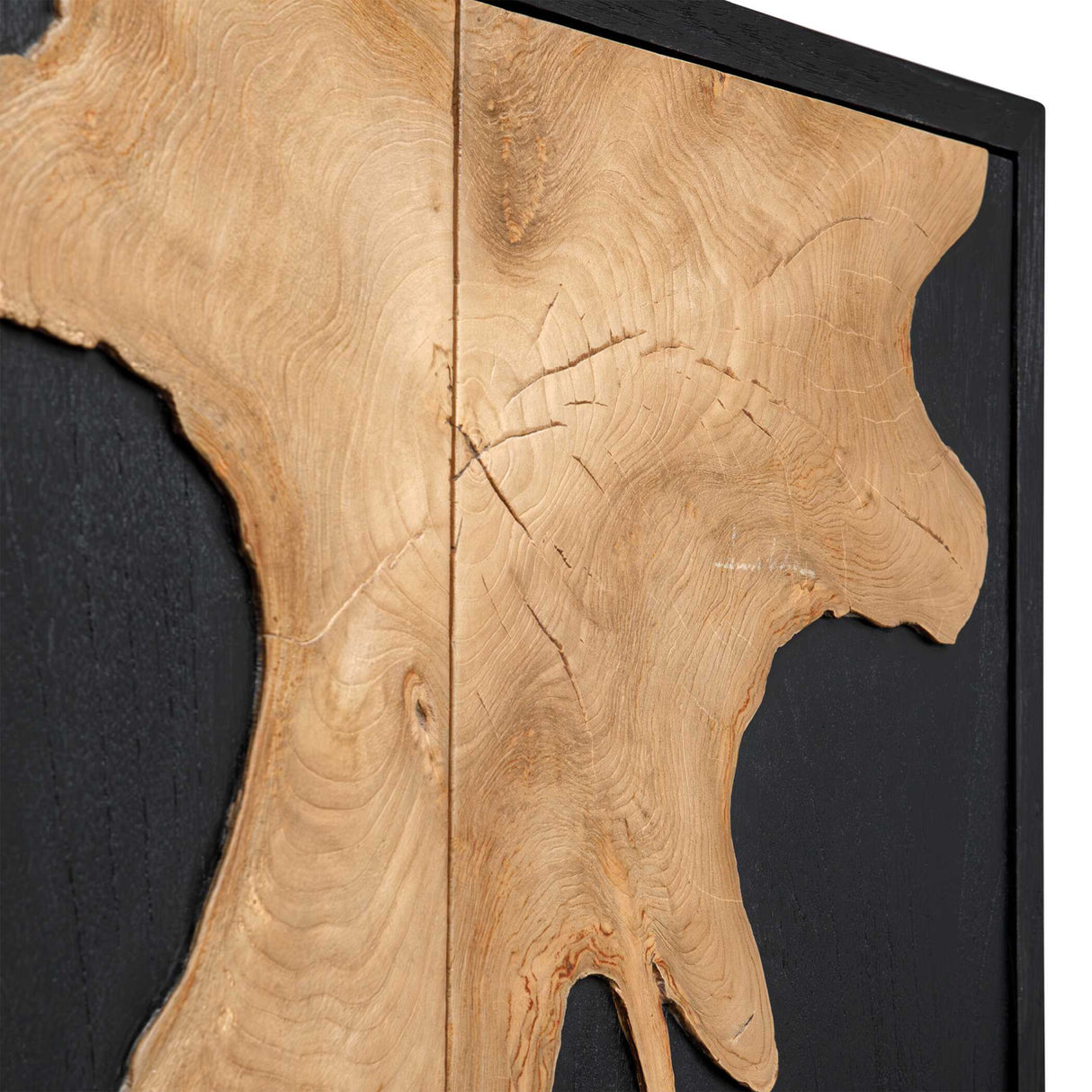 Modern European furniture - Black Wooden 2-Door Cabinet - www.oroa.com | Oroa.com