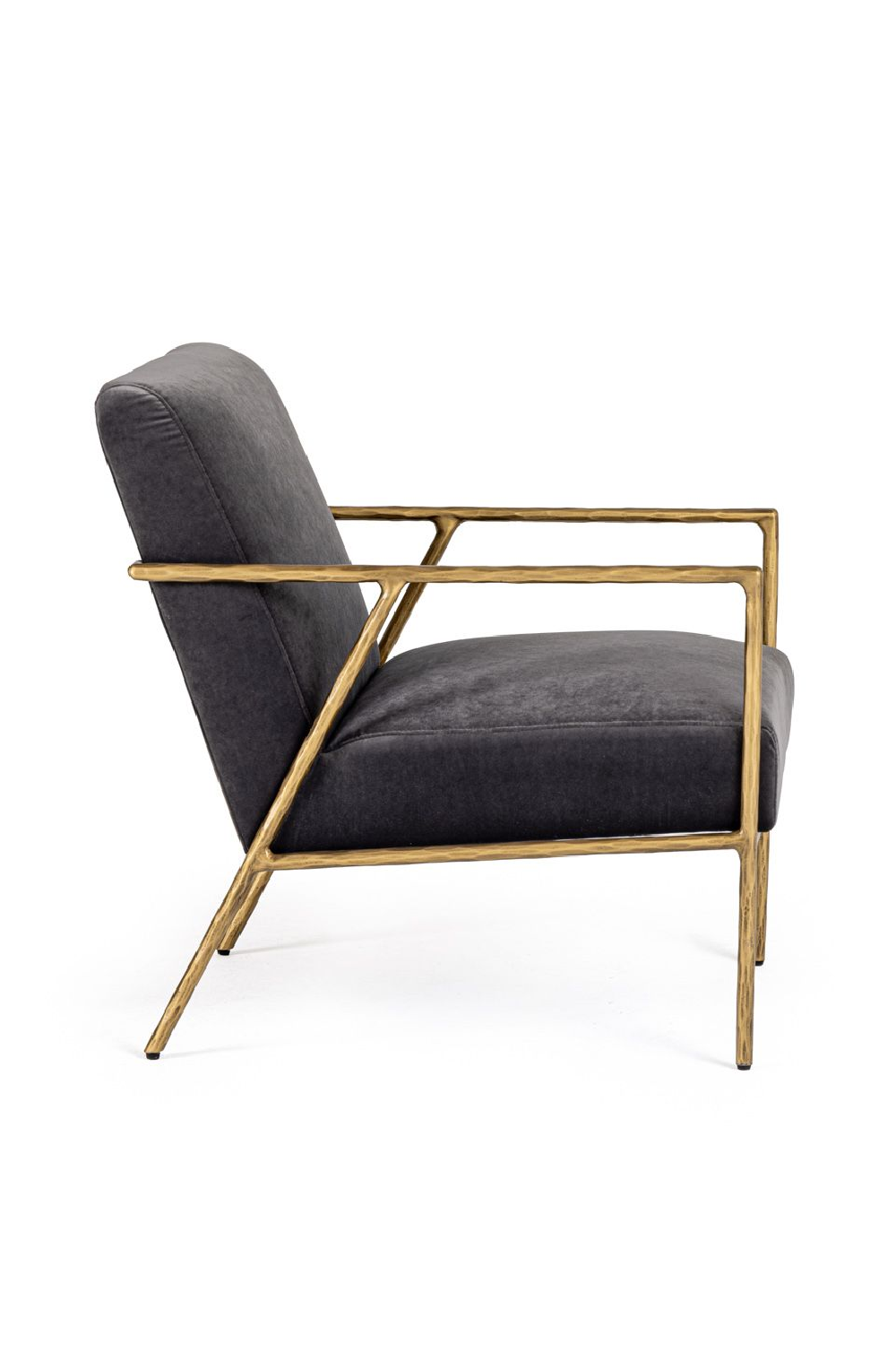 Gold-Framed Gray Velvet Accent Chair | Oroa.com
