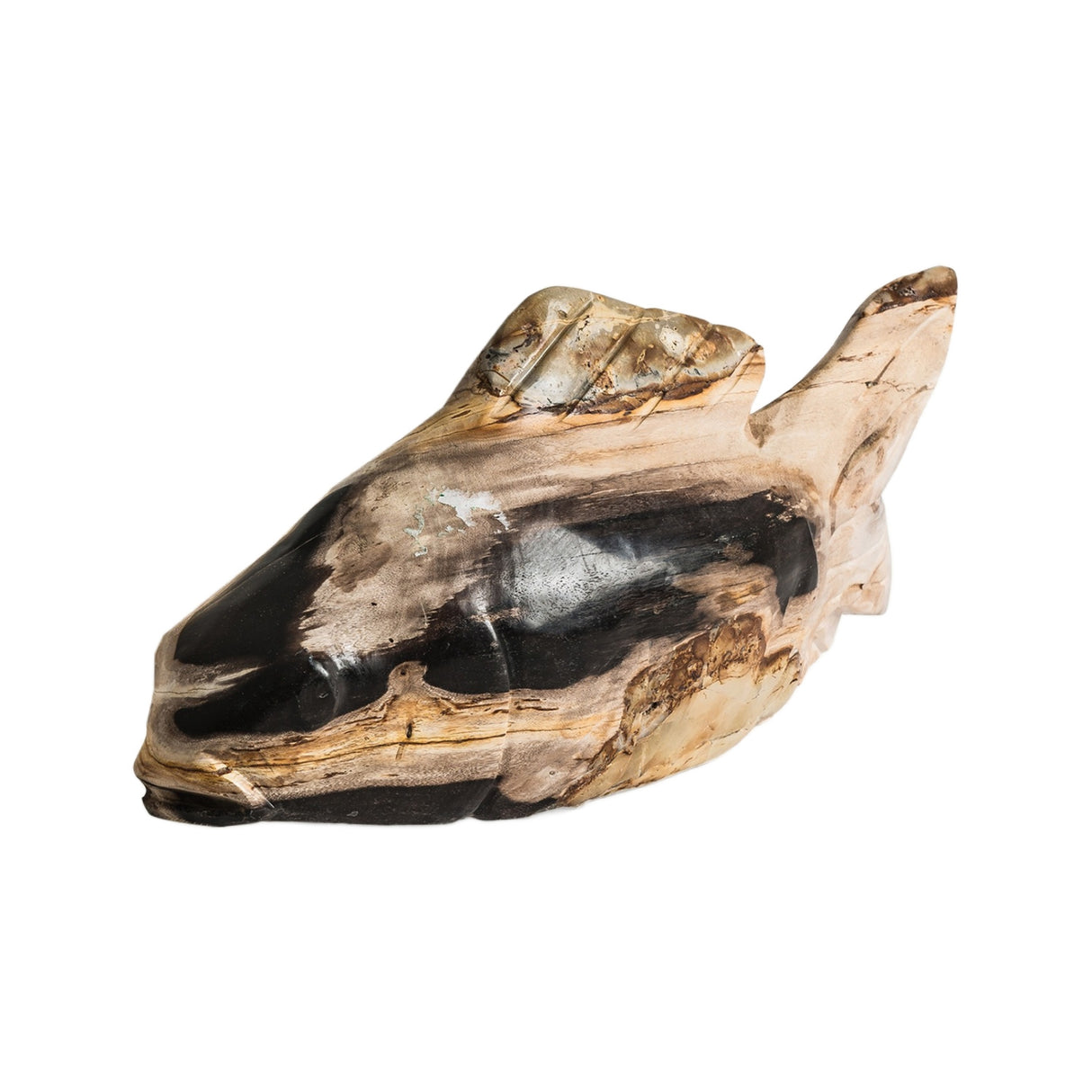 Petrified Wood Decorative Figure | Oroa.com
