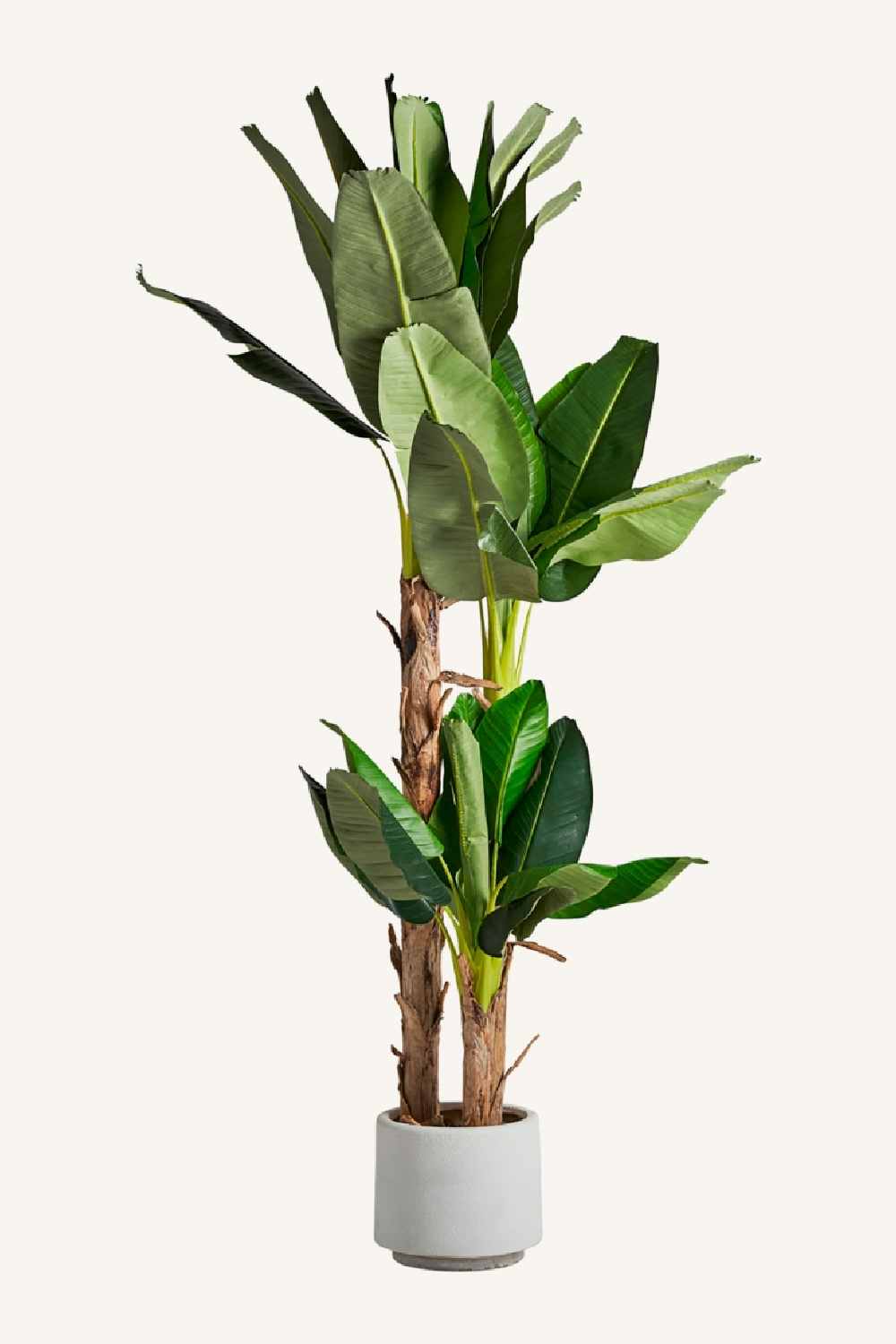 Artificial Banana Tree | Oroa.com