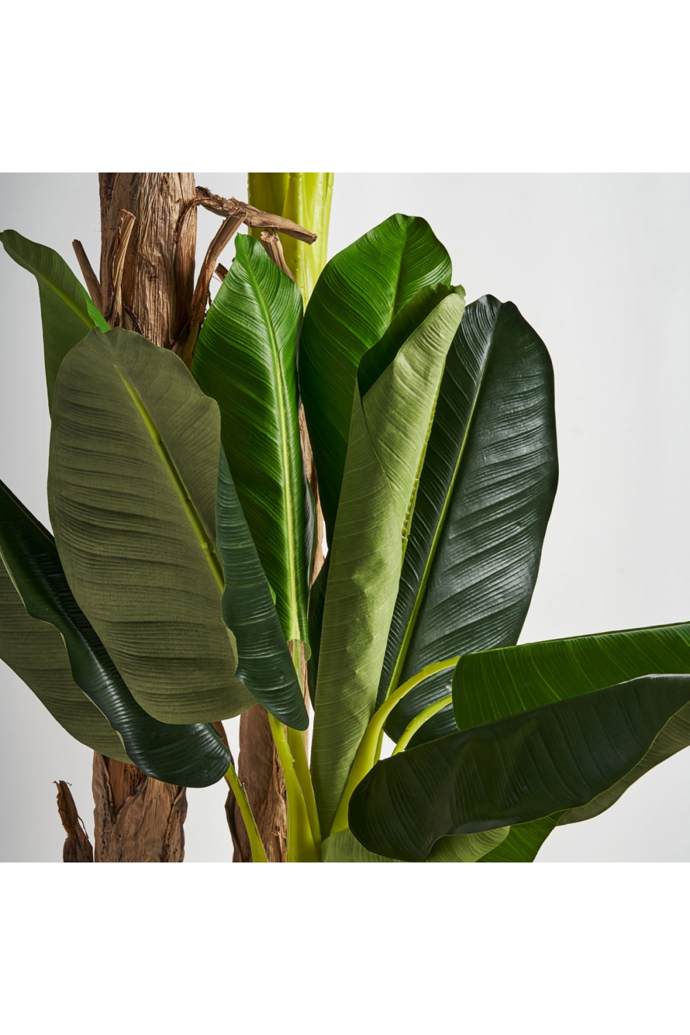 Artificial Banana Tree | Oroa.com