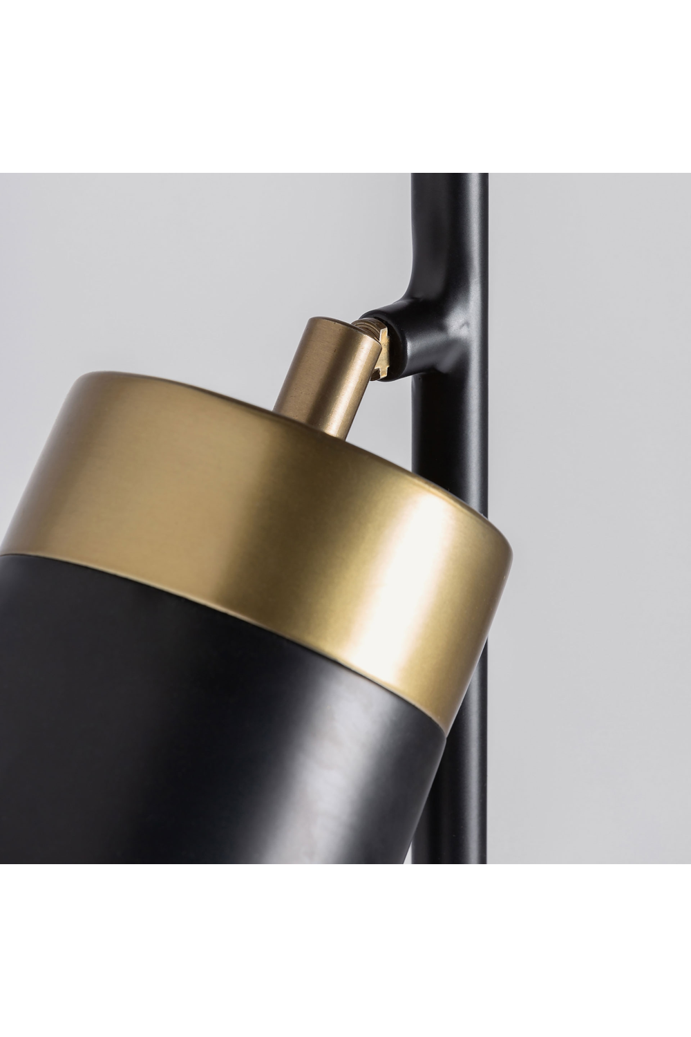 Black Brass Floor Lamp | Oroa.com