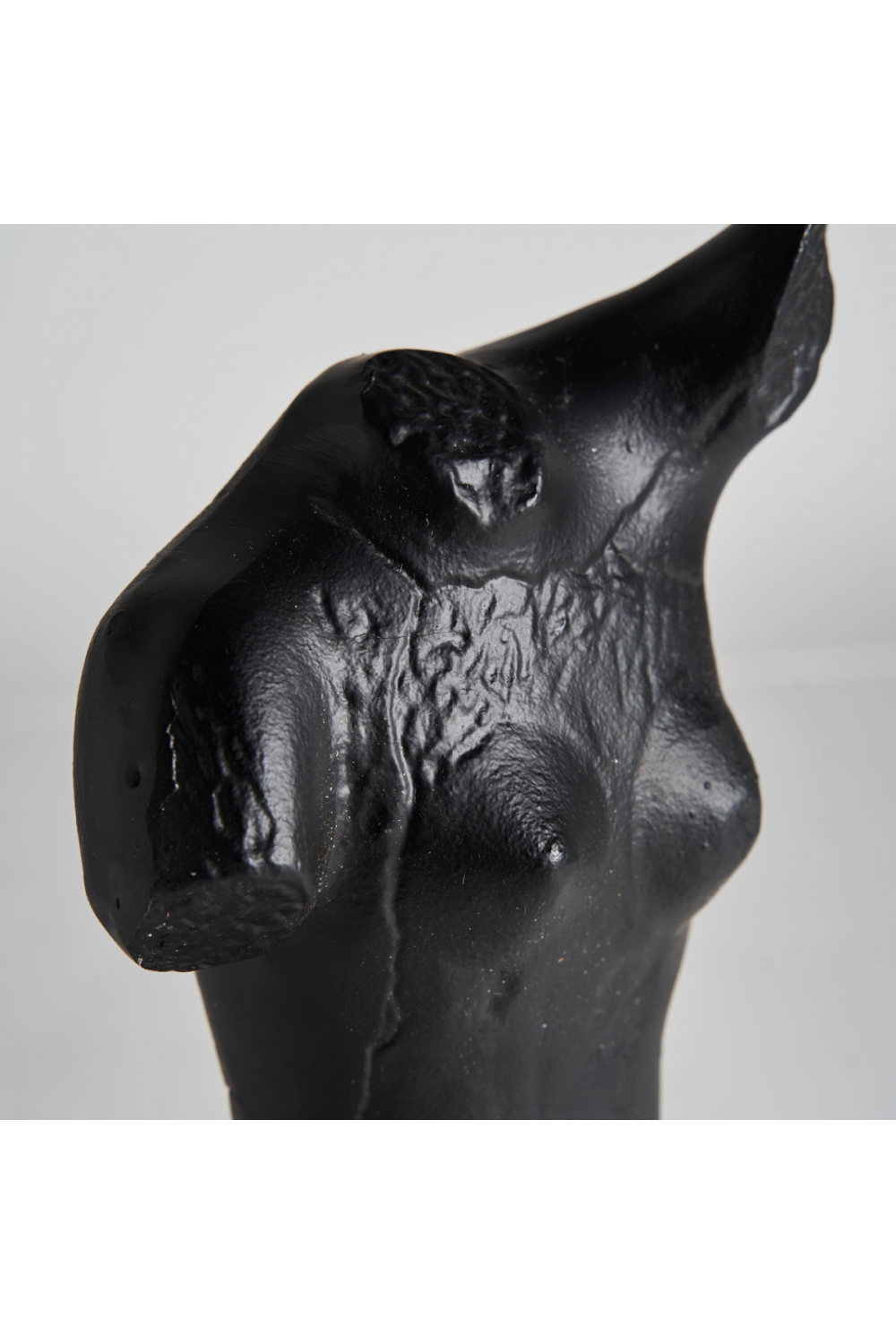 Black Aluminum Bust Decor | Oroa.com