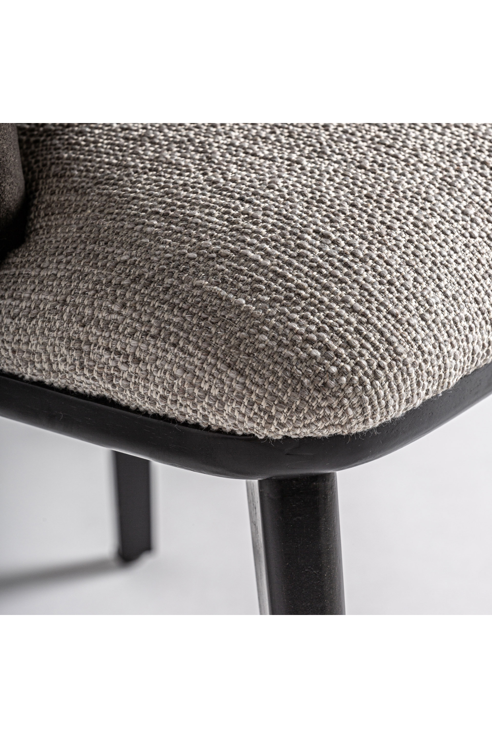Velvet Back Modern Accent Chair | Oroa.com