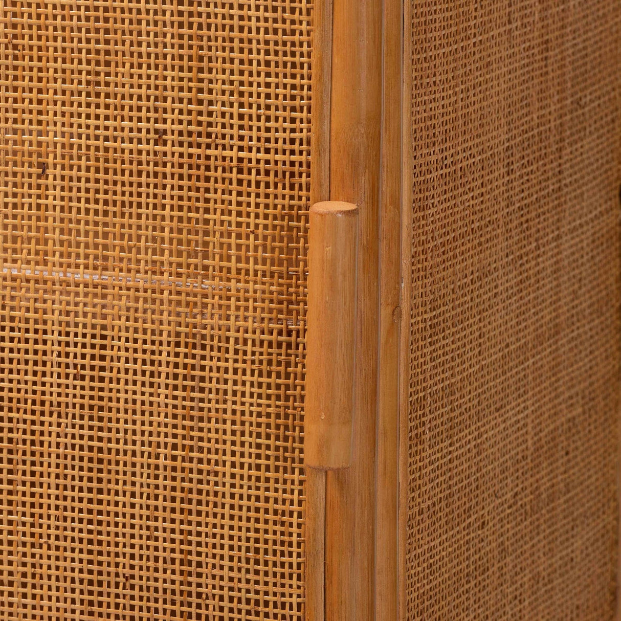 Modern European furniture - Arched Rattan Accent Cabinet - www.oroa.com | Oroa.com