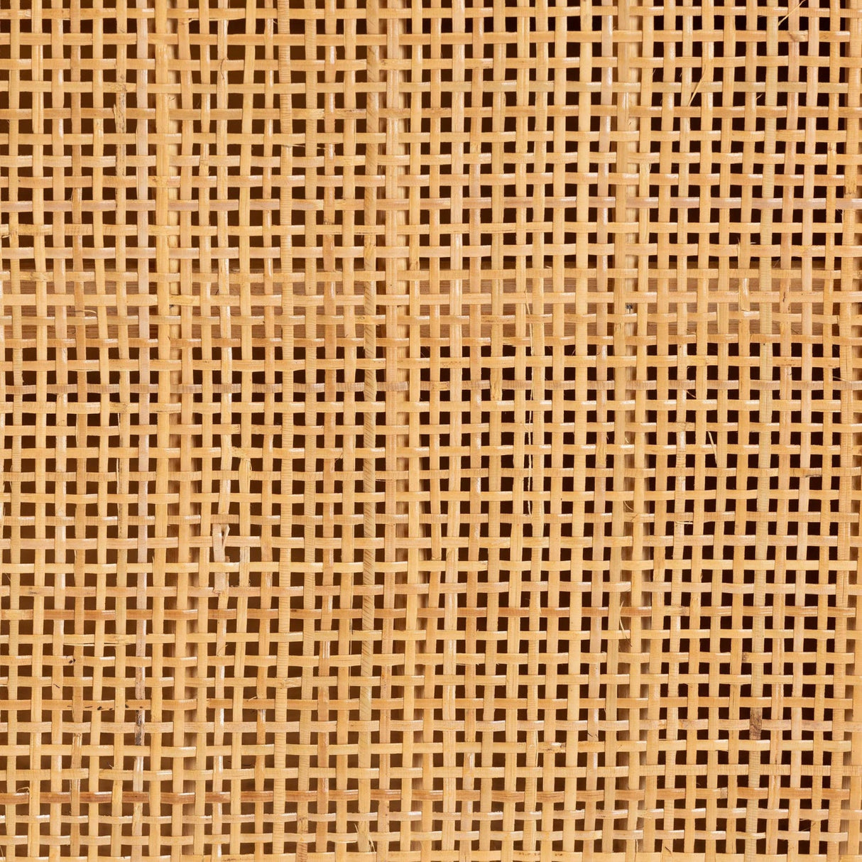 Modern European furniture - Natural Rattan 2 Door Sideboard - www.oroa.com | Oroa.com