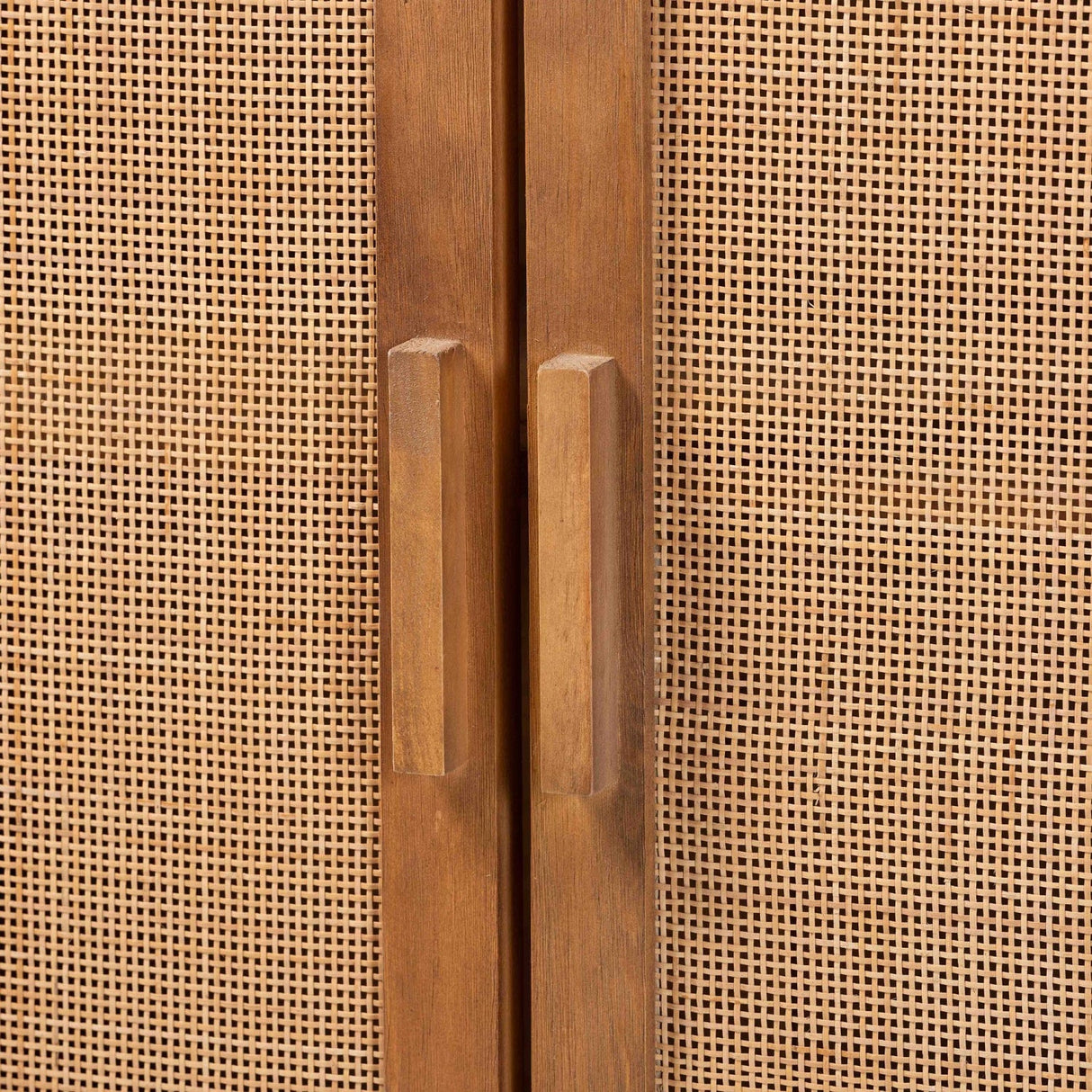 Modern European furniture - 2 Door Rattan Accent Cabinet - www.oroa.com | Oroa.com