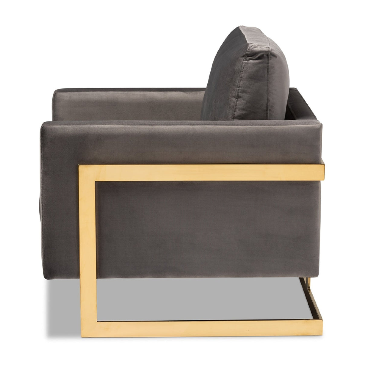 Modern European furniture - Gold Framed Velvet Accent Chair - www.oroa.com | Oroa.com