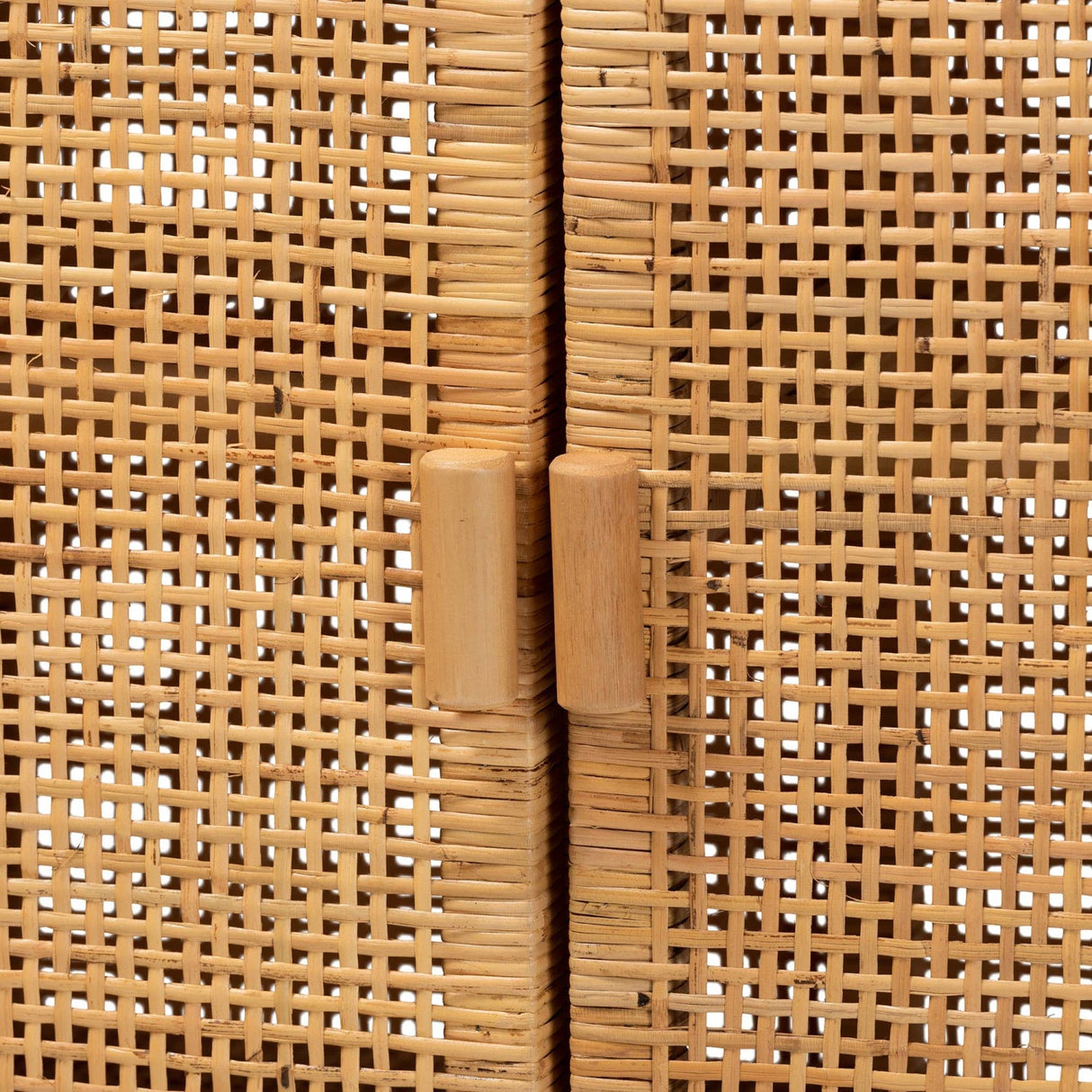 Modern European furniture - Mahogany Framed Rattan Cabinet - www.oroa.com | Oroa.com