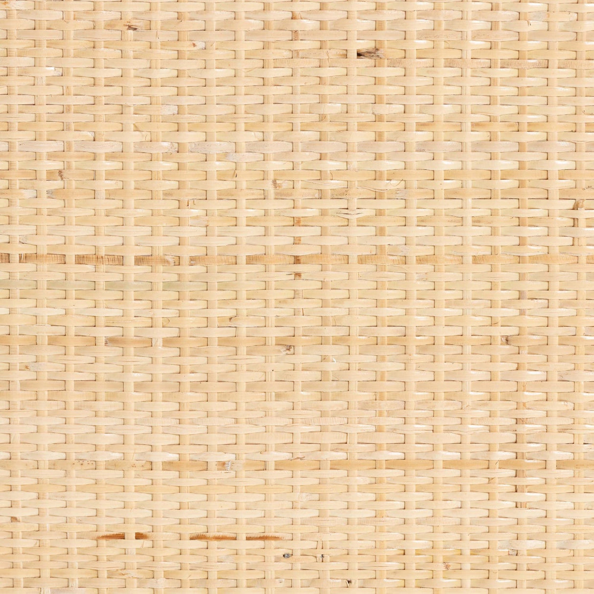 Modern European furniture - Floral Woven 2 Door Cabinet - www.oroa.com | Oroa.com