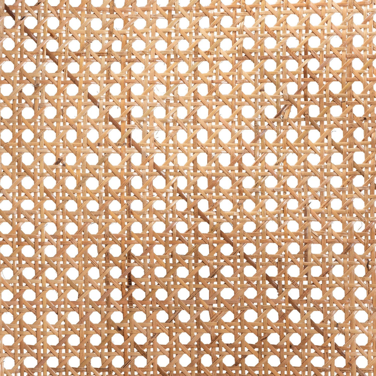 Modern European furniture - Black Framed Rattan Dining Chair - www.oroa.com | Oroa.com
