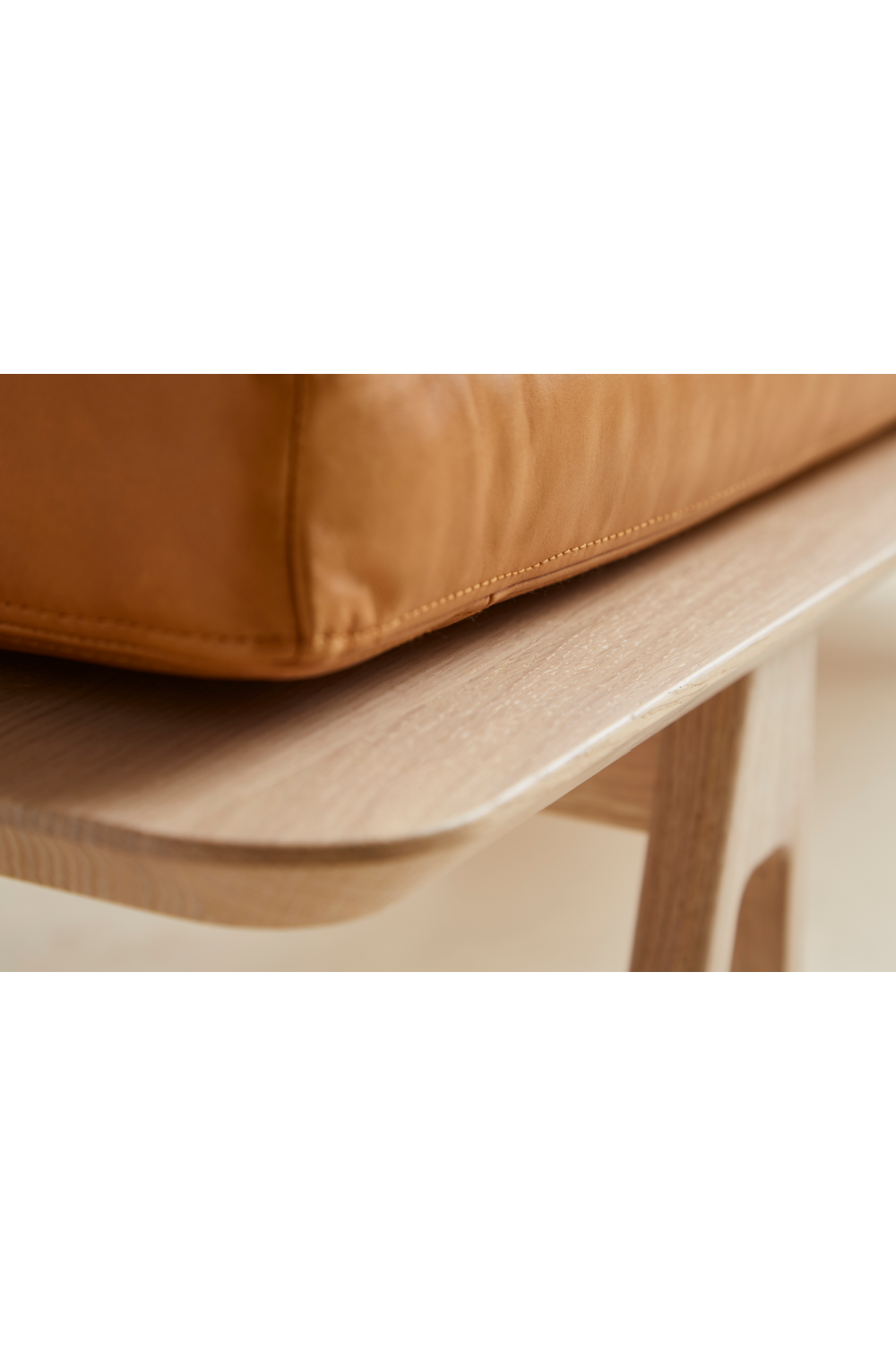 Cushioned Minimalist Day Bed | Oroa.com