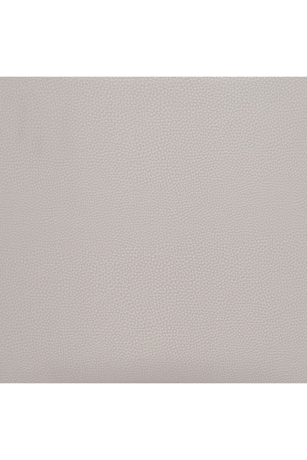 Beige Leather Dining Chair | Oroa.com