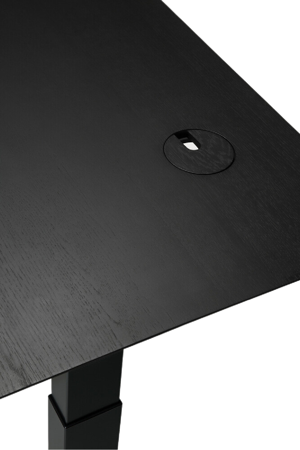 Oak Adjustable Desk M | Oroa.com