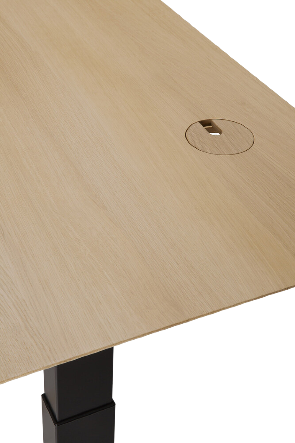 Oak Adjustable Desk L | Oroa.com
