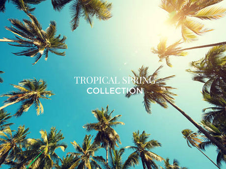   tropical interior | Oroa.com