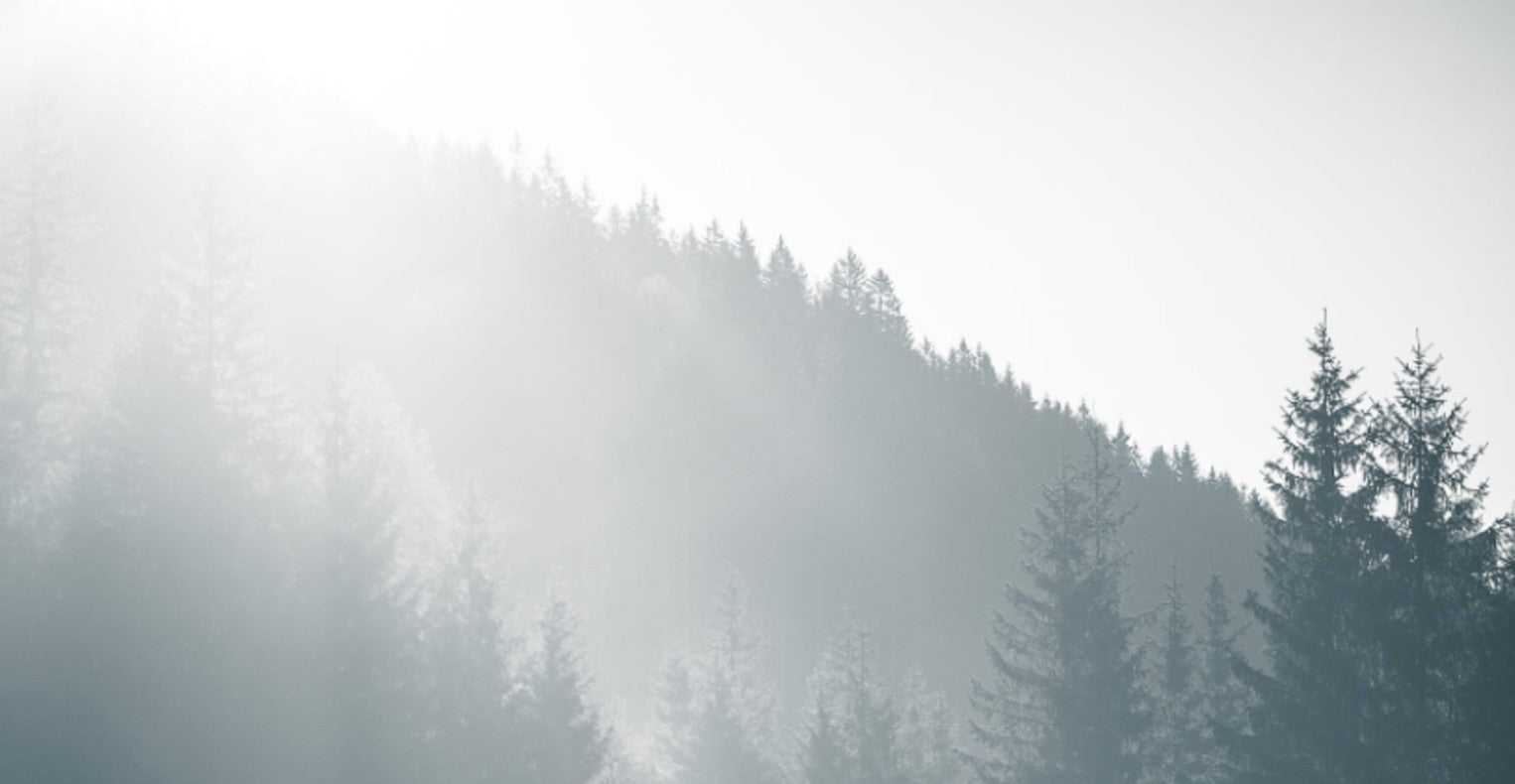   Softness & Woods | Oroa.com