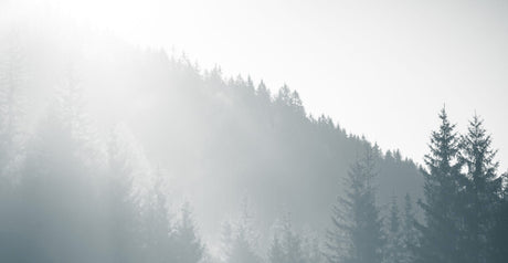   Softness & Woods | Oroa.com